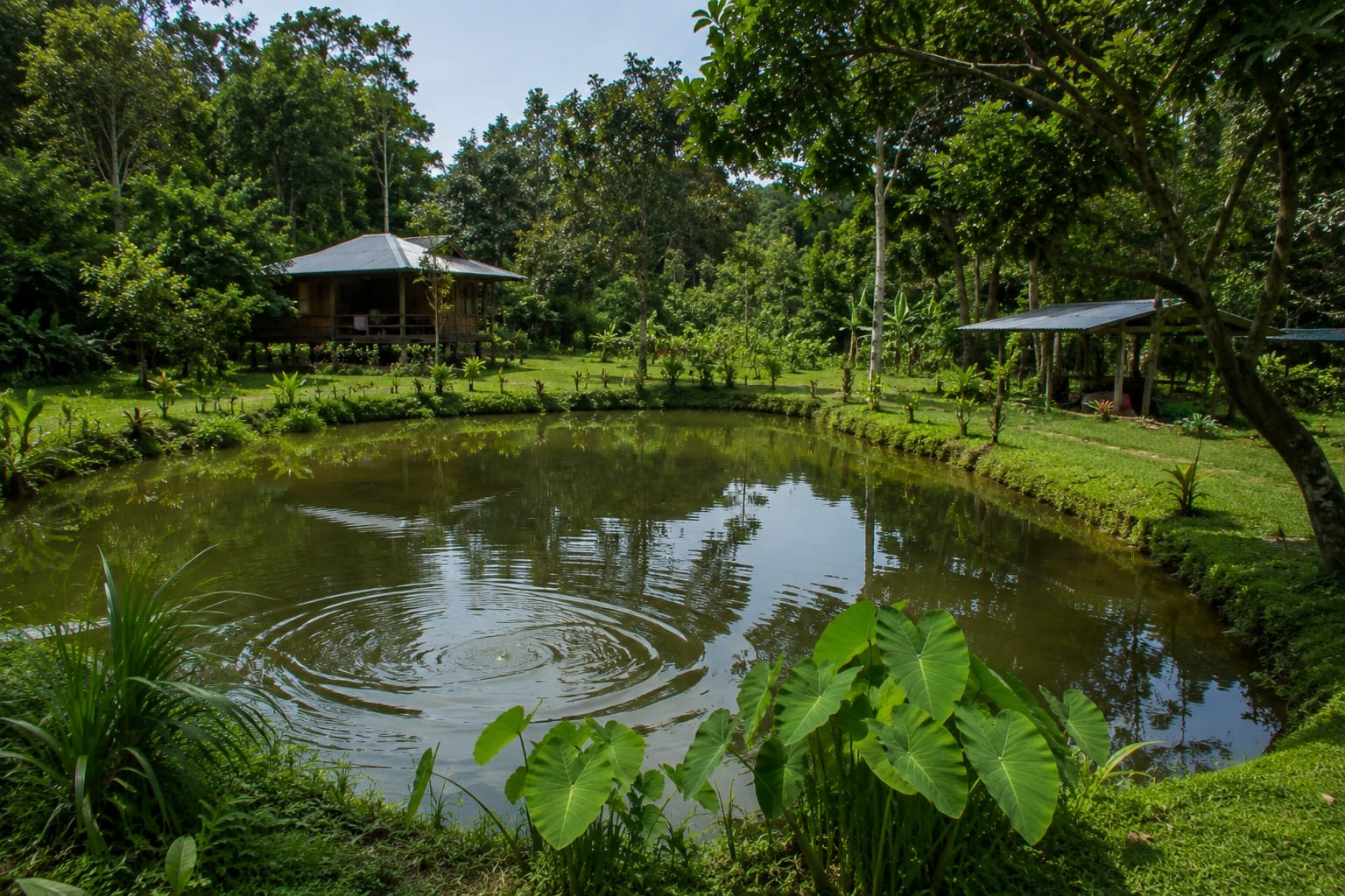 Misty Northern Thailand mountains and green forested valleys